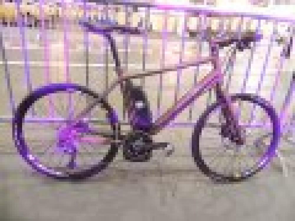 IBEX - Jungle Hero + Moteur Bosch